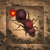 奇侠影视